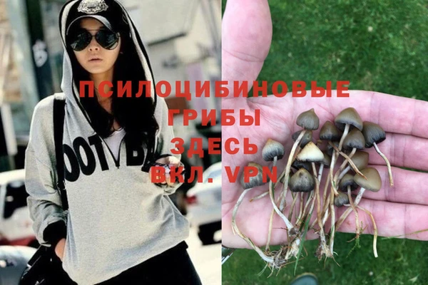 мдпв Горняк