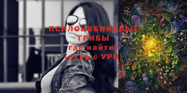 мдпв Горняк