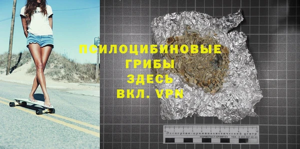 мдпв Горняк
